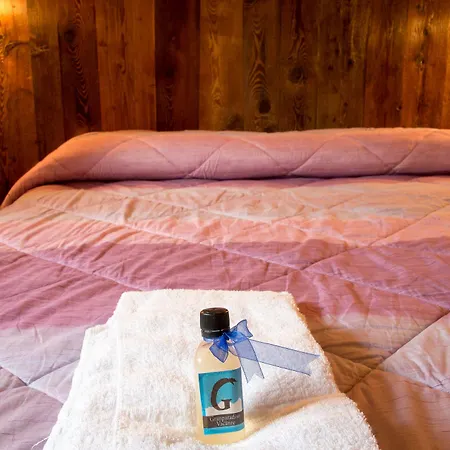 Le Vieux Noyer - Al Villaggio Di Rumiod Aparthotel